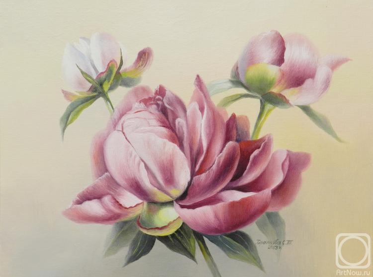 ������� ������ �� ������. �������� ��������. �����