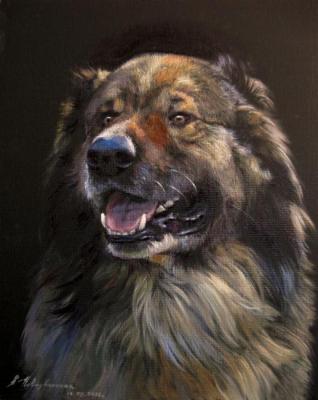 ������. ������������ ����������