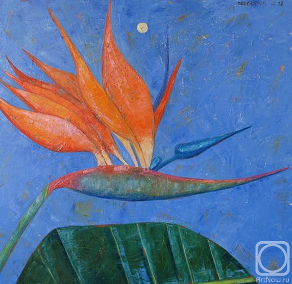 ������� ������ �� ������. ������� �������. Ave del paraiso