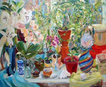 Window jungle in May. Petrovskaya-Petovraji Olga