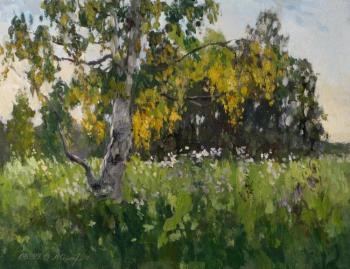 Old birch. Early September. Serebrennikova Larisa