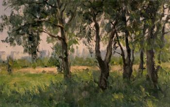 � ���� �������� (������� ������) (������� ������). �������������� ������