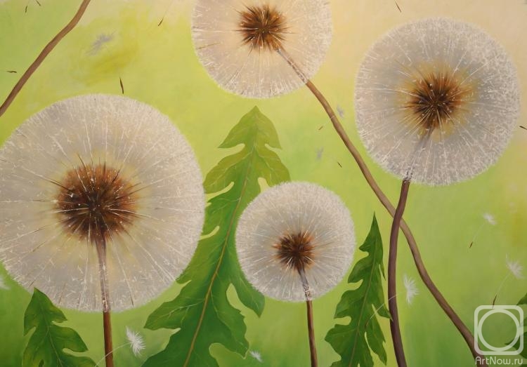 Zhaldak Edward. Untitled