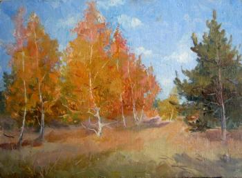 Autumn Day (etude). Voronov Vladimir