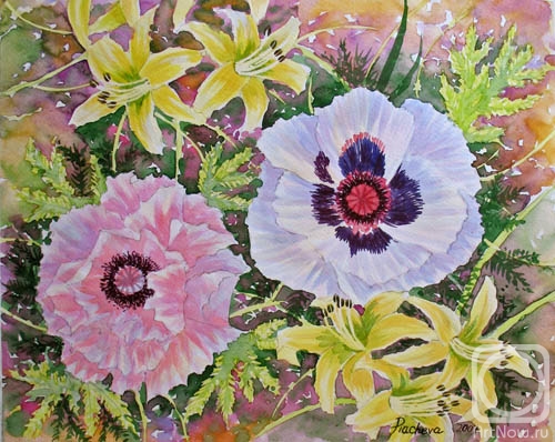 �������. ������� �������. ����� � ������� ����