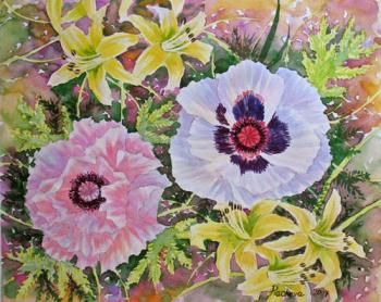 White and Pink Poppies (Flowers And Gardens). Piacheva Natalia