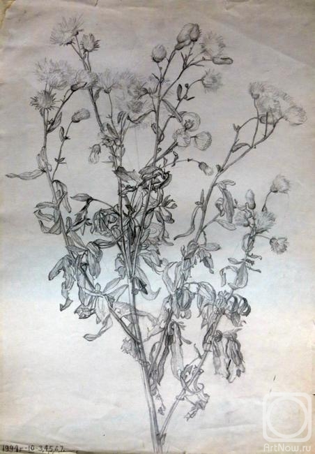 �������. �������� �������. ������� �����