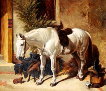 Resting horse. Smorodinov Ruslan