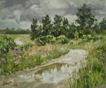 ������� ���������� ����