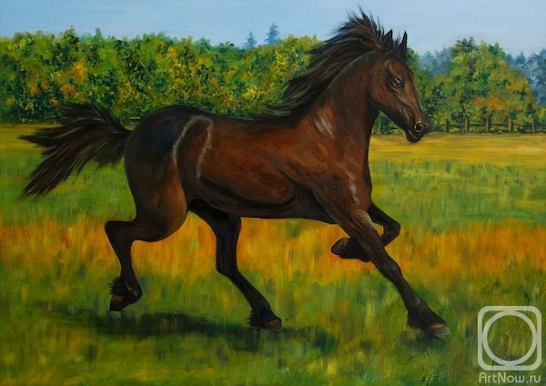 Lukaneva Larissa. If the horse's mane has the wind