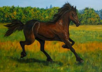 If the horse's mane has the wind (Horse In The Meadow). Lukaneva Larissa