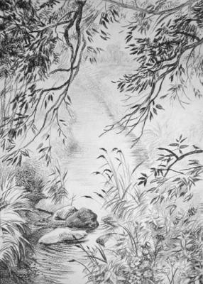 ������� ������ �������