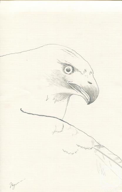 �������. ��������� ����. ������� "������ �����"