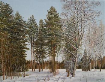 ����. ��������� ����. ������ ������