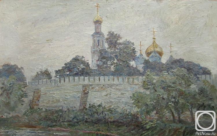 Bikashov Dimitrii. Rain over Novodevichy