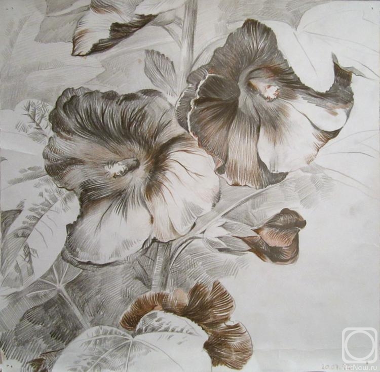 �������. ������� �������. ������ �� ������