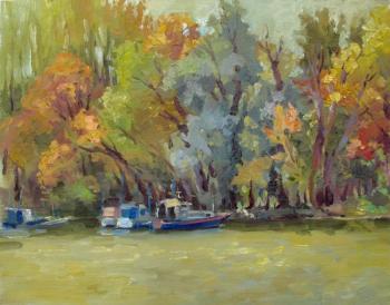 Autumn on the river. Vedeshina Zinaida