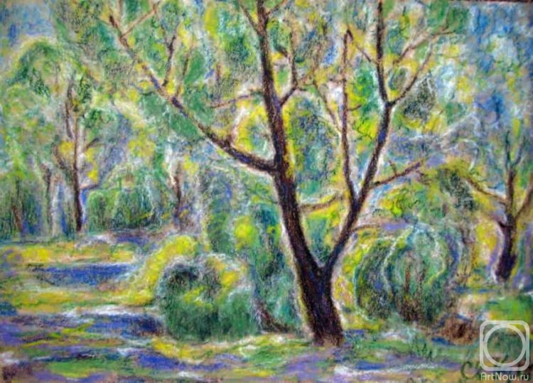 �������. ������� ���������. �����