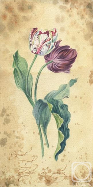 �������. ������� �����. �������� ������