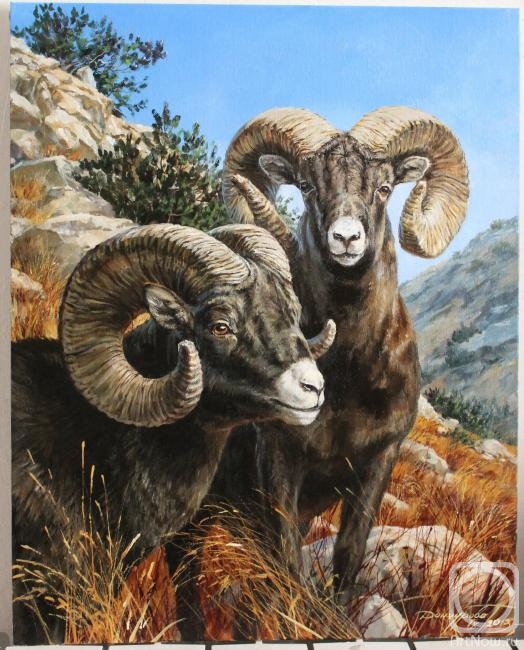 Danchurova Tatyana. Bighorn sheep