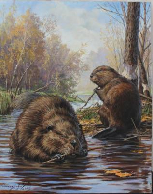 Beavers. Danchurova Tatyana