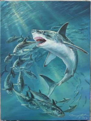 Shark. Danchurova Tatyana
