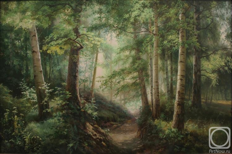 Zaytsev Vitaliy. A sun is in a forest valley