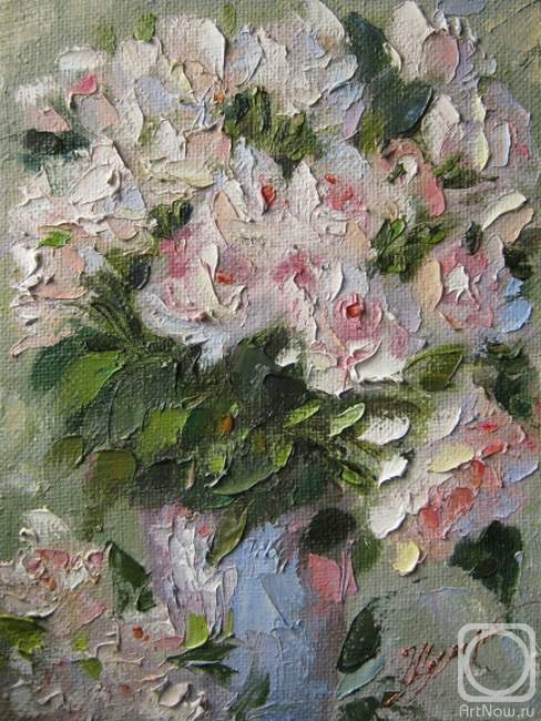 ������� ������ �� ������. ������ �������. ���� ���� �������