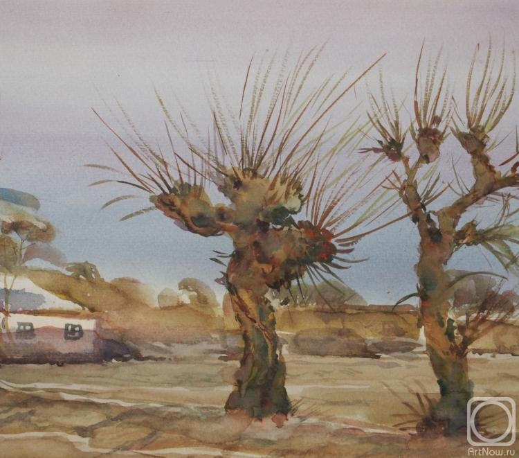 �������. ����� �������. ��������