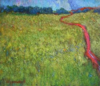 Field for two. Shubnikov Pavel