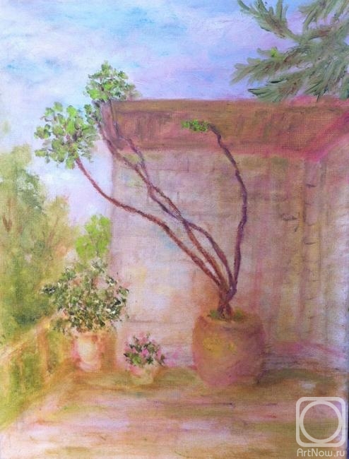 ������� ������ �� ������. ������ ����. � ������, � �������� ����, � �����!