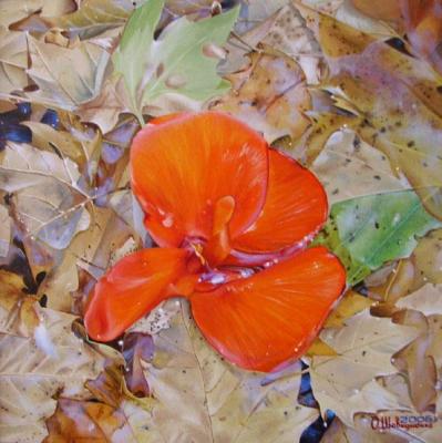 Autumn flower. Shovkunenko Oleh
