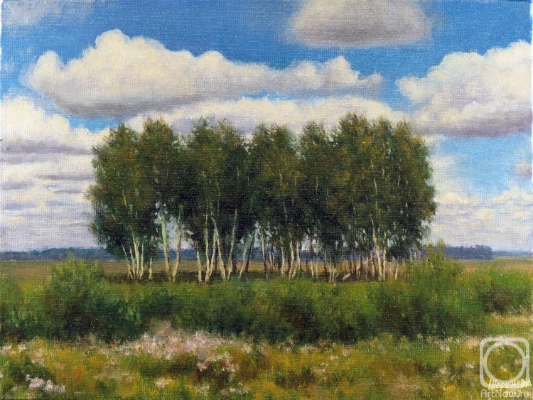 Shershnev Denis. Birch. Altai Krai