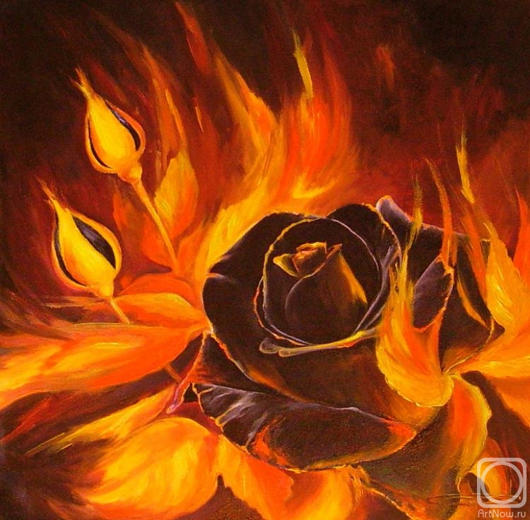 Shovkunenko Oleh. Black rose