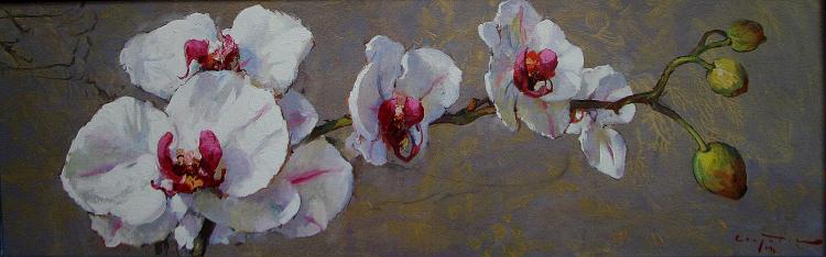 �������. �������� ������. �������