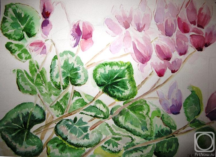 �������. ���������� �����. ��������