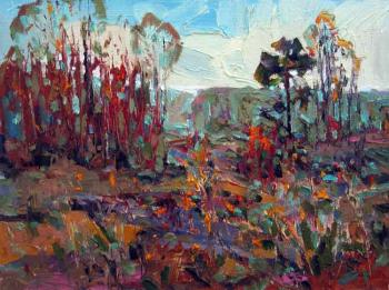 ������� ��� ���� ��������