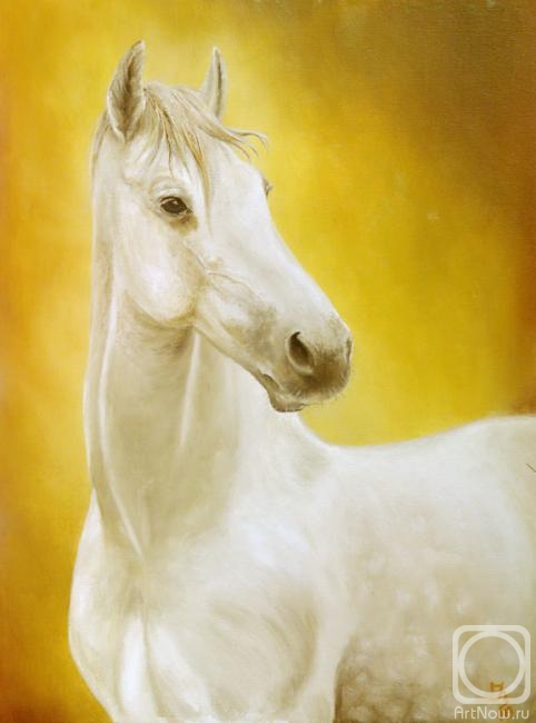 ������� ������ �� ������. ��������� �����. ������� �14