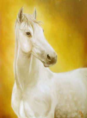 Horse No14. Vasilyeva Irina