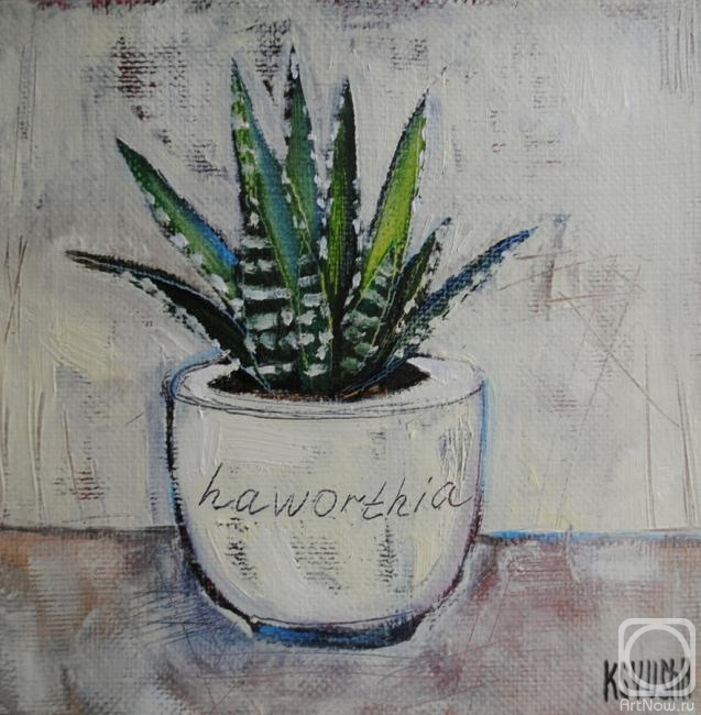 ������� ������ �� ������. ��������� ������. Haworthia