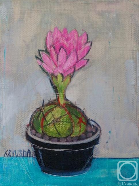 ������� ������ �� ������. ��������� ������. ����� ����� "��������". Cactus