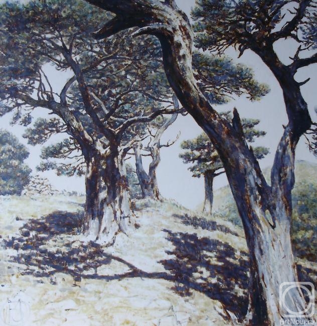 ������� ������ �� ������. ������� �����. �����. ����