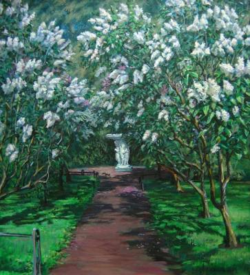 ������� ����������. ������ �������