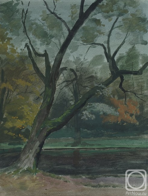Shanin Vladimir. Landscape with a tree