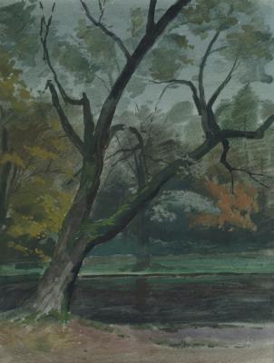 Landscape with a tree. Shanin Vladimir