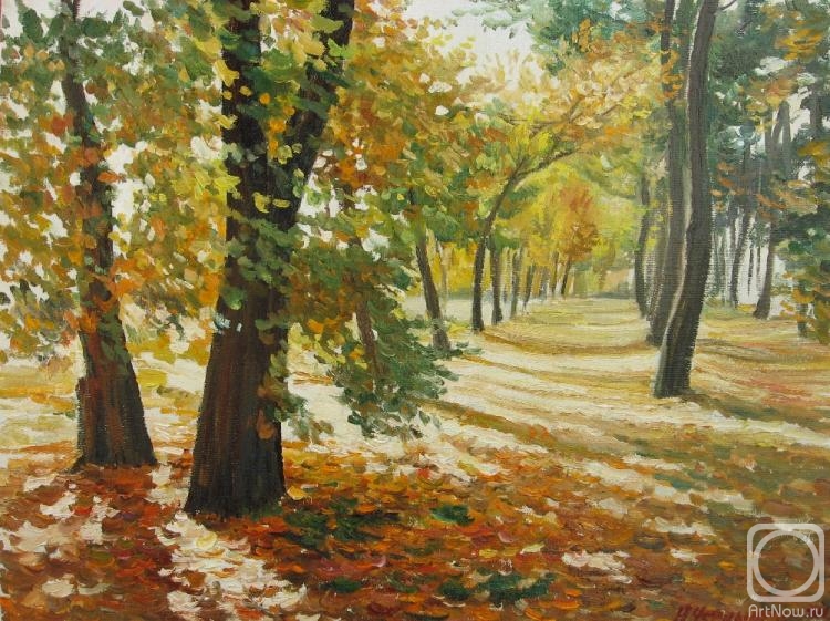 Chernyshev Andrei. Sun in autumn park