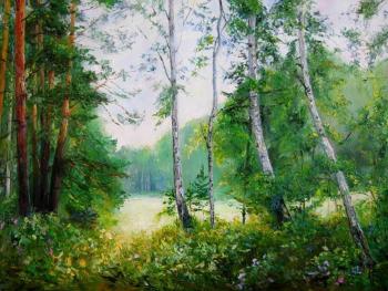 ������� ������ �������� �������