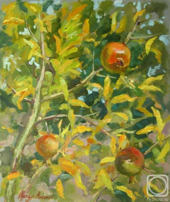 �������. ������� �������. ���������� �������