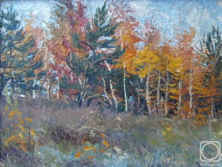 �������. ������� ��������. �����. ������� (����)