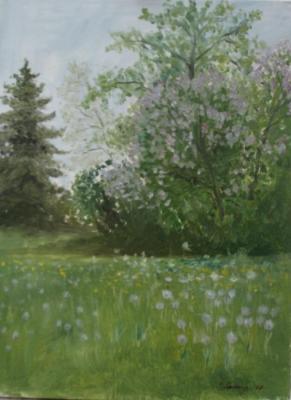 Lilacs and Dandelions (etude)